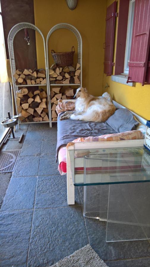Swiss Borzoi House Acomodação com café da manhã Vully-les-Lacs Exterior foto