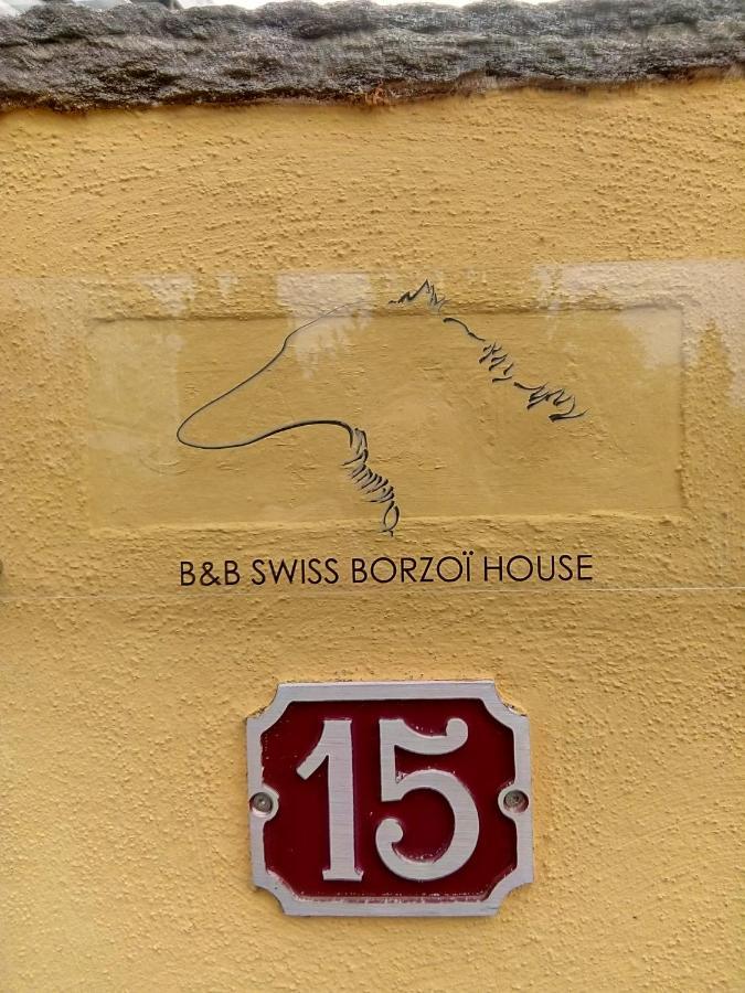 Swiss Borzoi House Acomodação com café da manhã Vully-les-Lacs Exterior foto