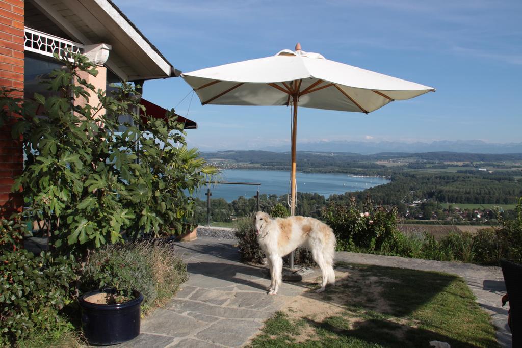 Swiss Borzoi House Acomodação com café da manhã Vully-les-Lacs Quarto foto