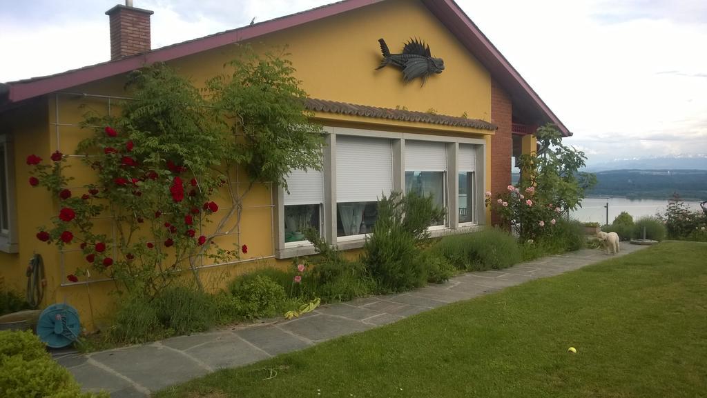 Swiss Borzoi House Acomodação com café da manhã Vully-les-Lacs Exterior foto