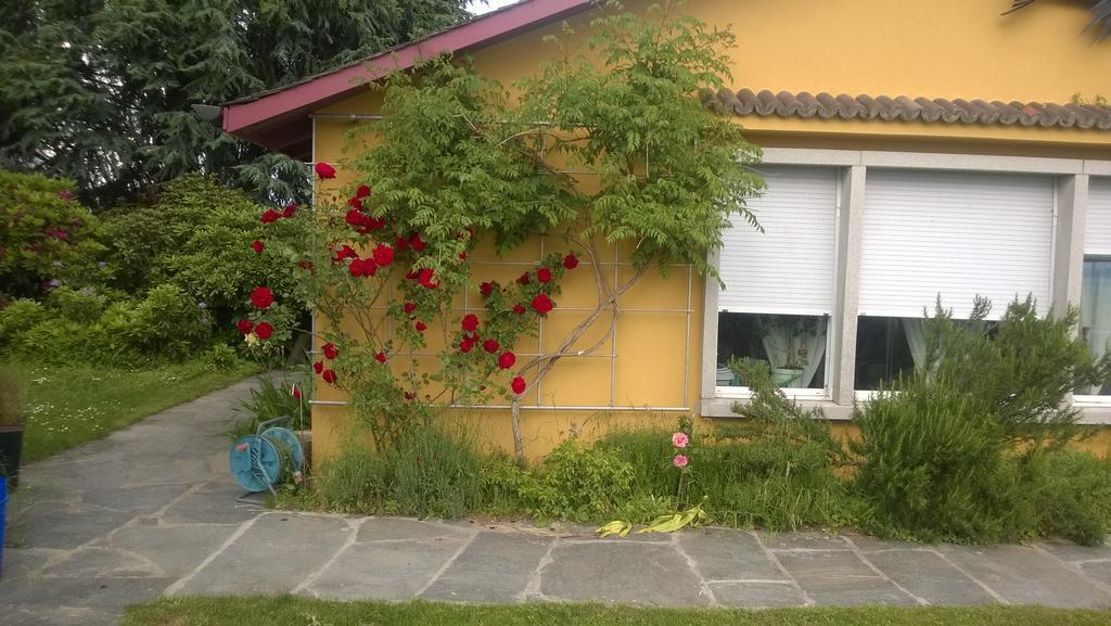Swiss Borzoi House Acomodação com café da manhã Vully-les-Lacs Exterior foto