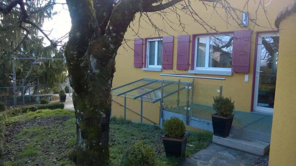 Swiss Borzoi House Acomodação com café da manhã Vully-les-Lacs Exterior foto