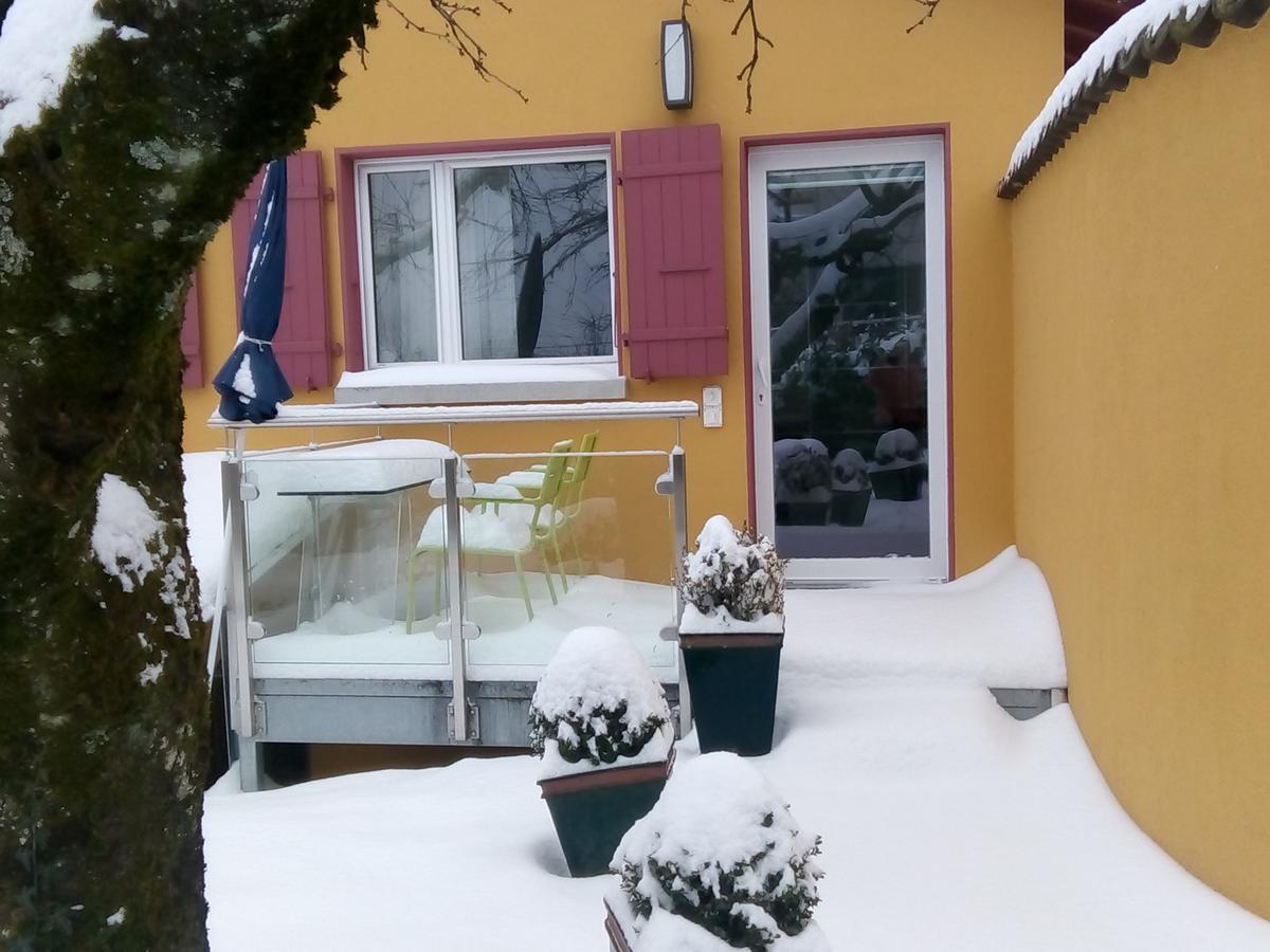 Swiss Borzoi House Acomodação com café da manhã Vully-les-Lacs Exterior foto