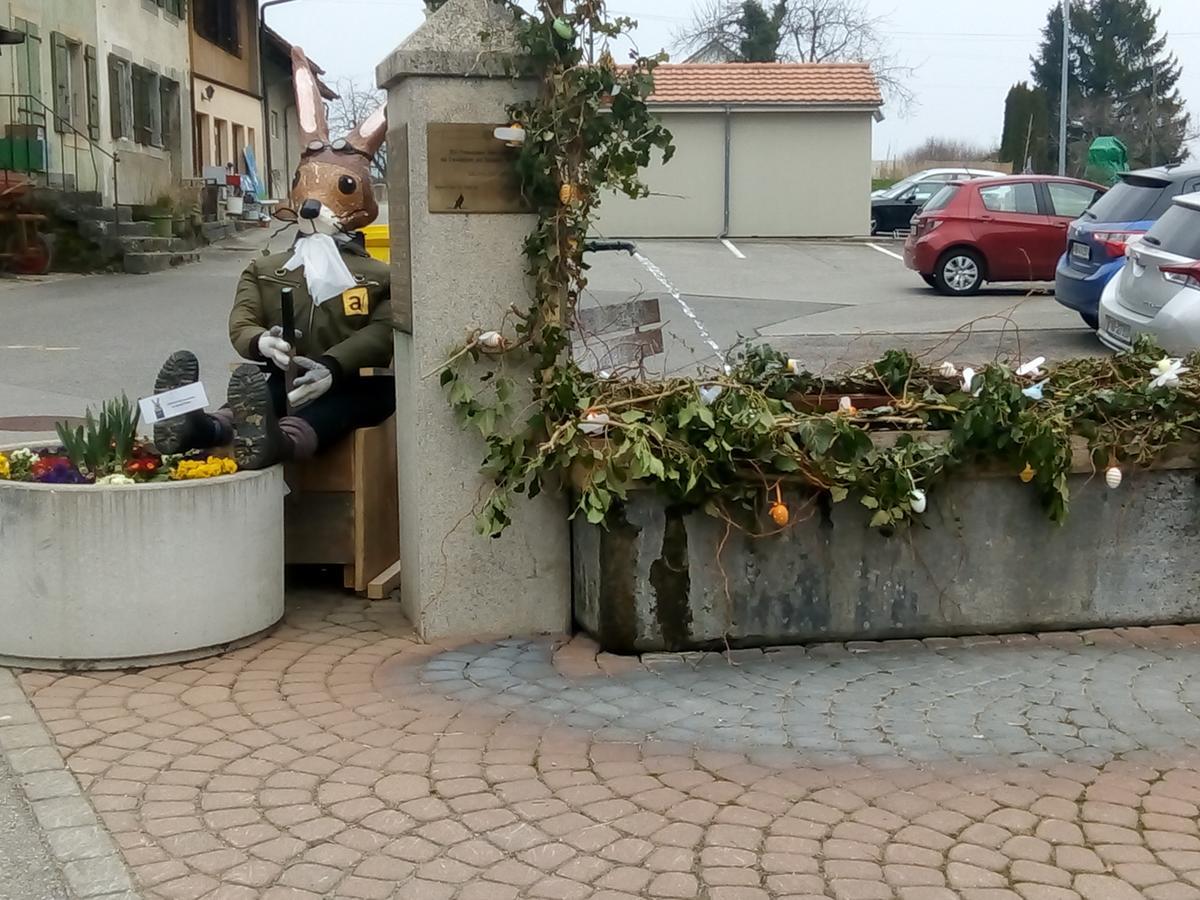 Swiss Borzoi House Acomodação com café da manhã Vully-les-Lacs Exterior foto