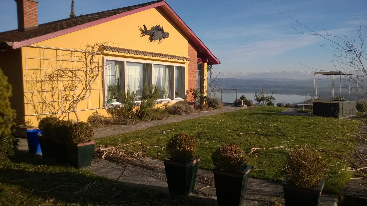 Swiss Borzoi House Acomodação com café da manhã Vully-les-Lacs Exterior foto