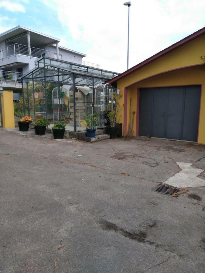 Swiss Borzoi House Acomodação com café da manhã Vully-les-Lacs Exterior foto